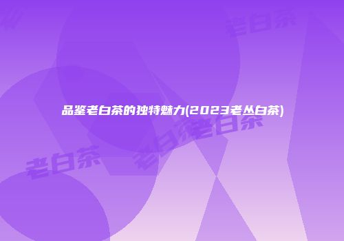品鉴老白茶的独特魅力(2023老丛白茶)