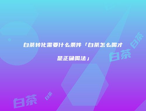 白茶转化需要什么条件「白茶怎么喝才是正确喝法」