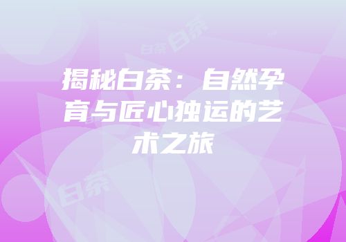 揭秘白茶：自然孕育与匠心独运的艺术之旅