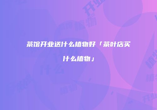 茶馆开业送什么植物好「茶叶店买什么植物」