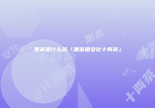 黑茶是什么茶「黑茶园安化十两茶」