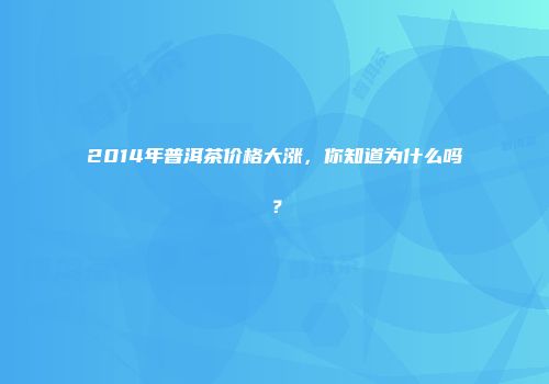 2014年普洱茶价格大涨，你知道为什么吗？