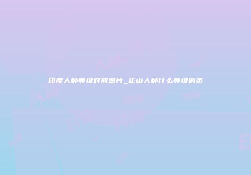 印度人种等级对应照片_正山人种什么等级的茶