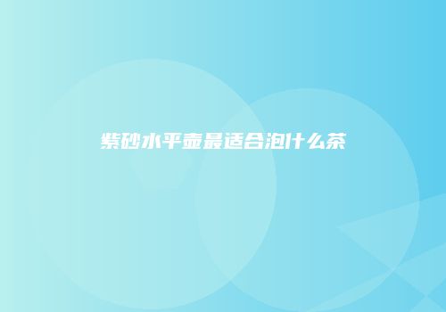 紫砂水平壶最适合泡什么茶
