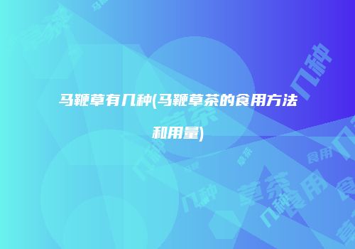 马鞭草有几种(马鞭草茶的食用方法和用量)