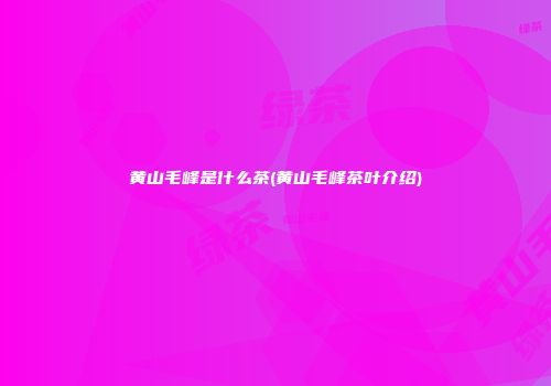黄山毛峰是什么茶(黄山毛峰茶叶介绍)