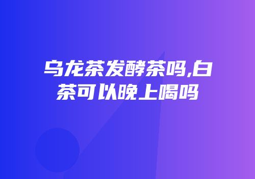 乌龙茶发酵茶吗,白茶可以晚上喝吗