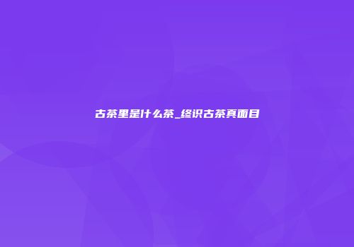 古茶里是什么茶_终识古茶真面目
