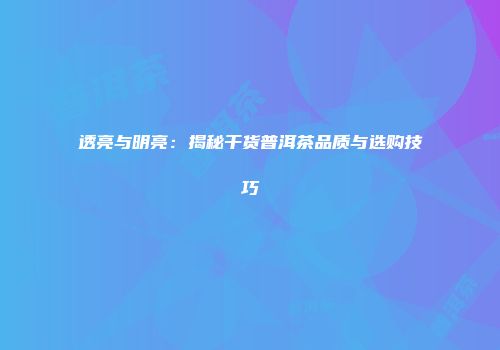 透亮与明亮：揭秘干货普洱茶品质与选购技巧