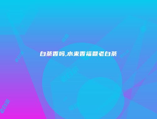 白茶香吗,水来香福鼎老白茶