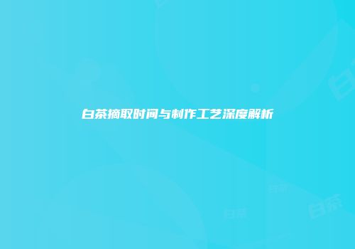 白茶摘取时间与制作工艺深度解析