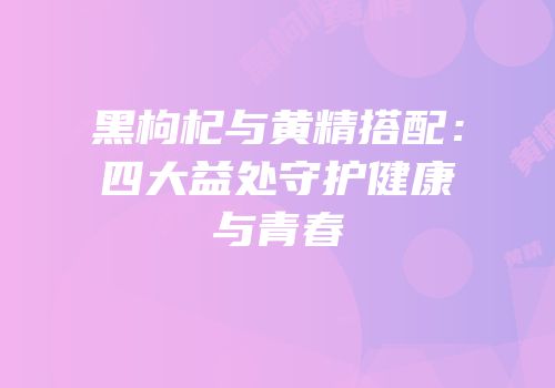 黑枸杞与黄精搭配：四大益处守护健康与青春