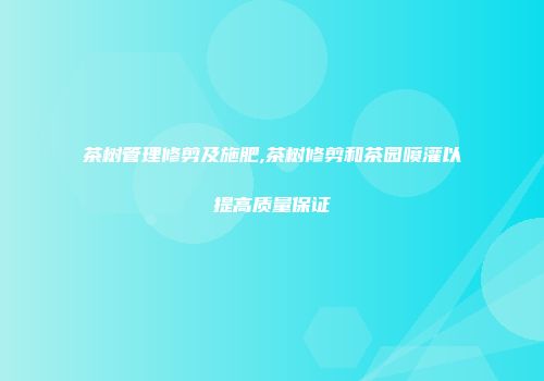 茶树管理修剪及施肥,茶树修剪和茶园喷灌以提高质量保证