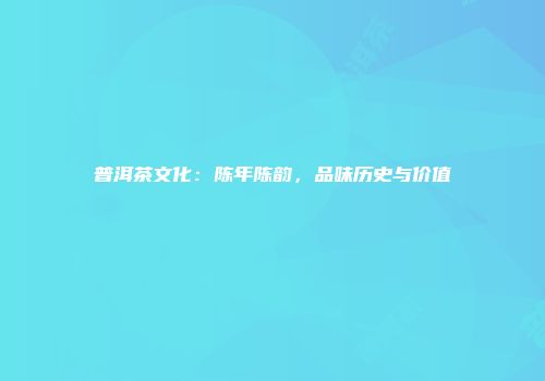 普洱茶文化：陈年陈韵，品味历史与价值