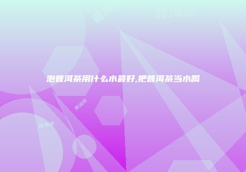 泡普洱茶用什么水最好,把普洱茶当水喝