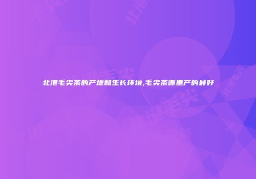 北港毛尖茶的产地和生长环境,毛尖茶哪里产的最好