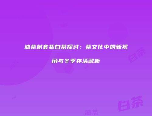 油茶树套栽白茶探讨：茶文化中的新视角与冬季存活解析