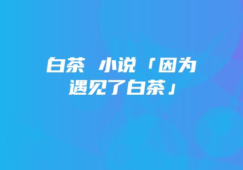 白茶 小说「因为遇见了白茶」