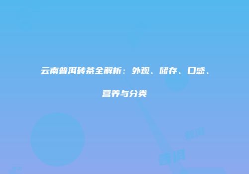 云南普洱砖茶全解析：外观、储存、口感、营养与分类