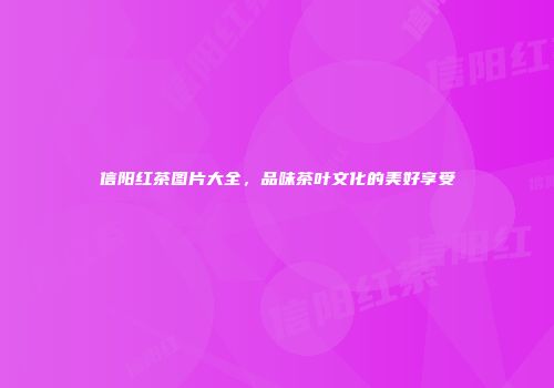 信阳红茶图片大全，品味茶叶文化的美好享受