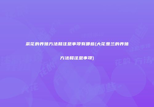 茶花的养殖方法和注意事项有哪些(大花蕙兰的养殖方法和注意事项)