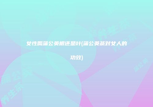 女性喝蒲公英根还是叶(蒲公英茶对女人的功效)