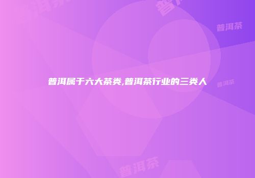 普洱属于六大茶类,普洱茶行业的三类人