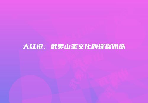 大红袍：武夷山茶文化的璀璨明珠