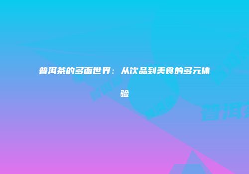 普洱茶的多面世界：从饮品到美食的多元体验