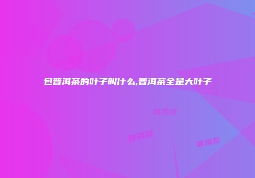 包普洱茶的叶子叫什么,普洱茶全是大叶子