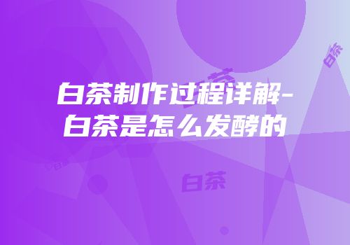 白茶制作过程详解-白茶是怎么发酵的