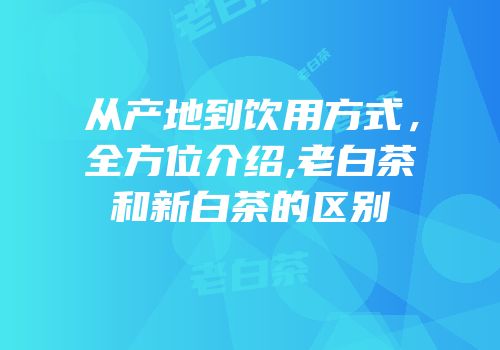 从产地到饮用方式，全方位介绍,老白茶和新白茶的区别