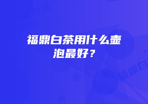 福鼎白茶用什么壶泡最好？