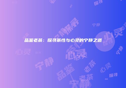 品鉴老茶：探寻茶性与心灵的宁静之道