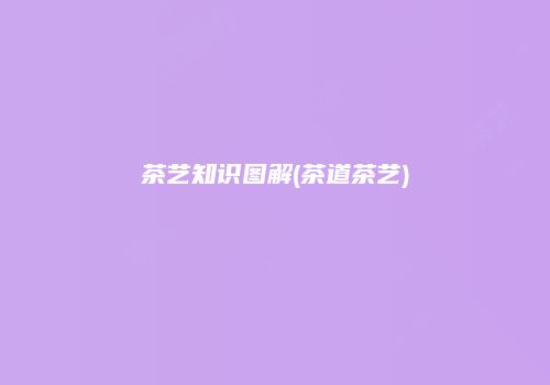 茶艺知识图解(茶道茶艺)