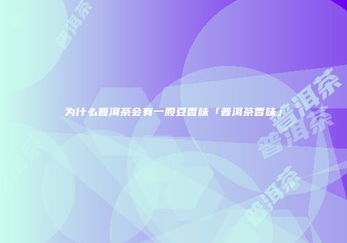 为什么普洱茶会有一股豆香味「普洱茶香味」