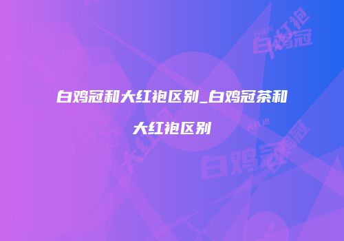 白鸡冠和大红袍区别_白鸡冠茶和大红袍区别