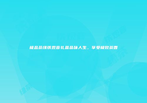 极品茶缘铁观音礼盒品味人生，享受极致茶香