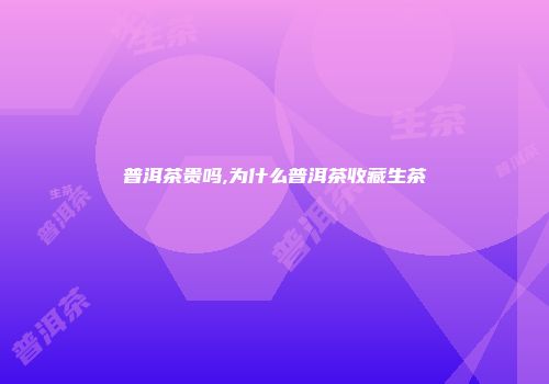 普洱茶贵吗,为什么普洱茶收藏生茶