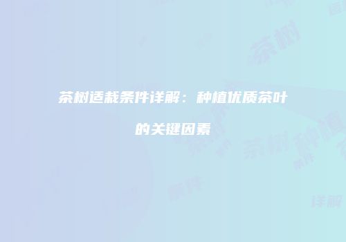 茶树适栽条件详解：种植优质茶叶的关键因素