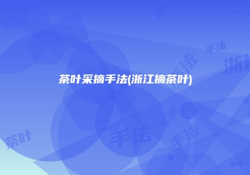 茶叶采摘手法(浙江摘茶叶)