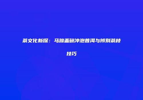茶文化新探：马蹄盖碗冲泡普洱与辨别茶枝技巧