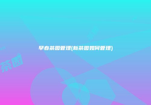 早春茶园管理(新茶园如何管理)