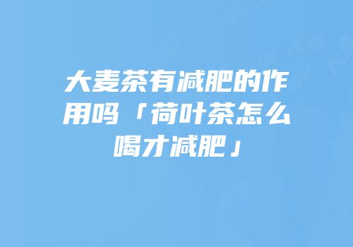 大麦茶有减肥的作用吗「荷叶茶怎么喝才减肥」