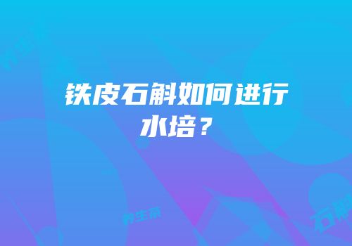 铁皮石斛如何进行水培？