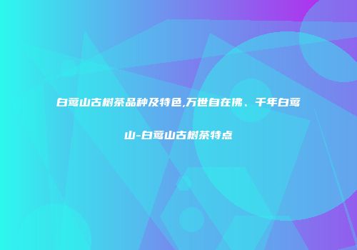 白莺山古树茶品种及特色,万世自在佛、千年白莺山-白莺山古树茶特点