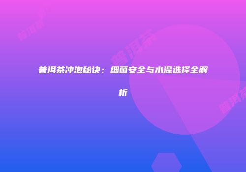 普洱茶冲泡秘诀：细菌安全与水温选择全解析