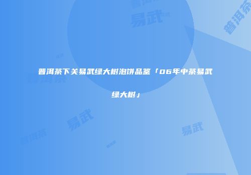 普洱茶下关易武绿大树泡饼品鉴「06年中茶易武绿大树」