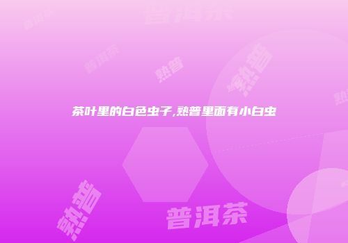 茶叶里的白色虫子,熟普里面有小白虫