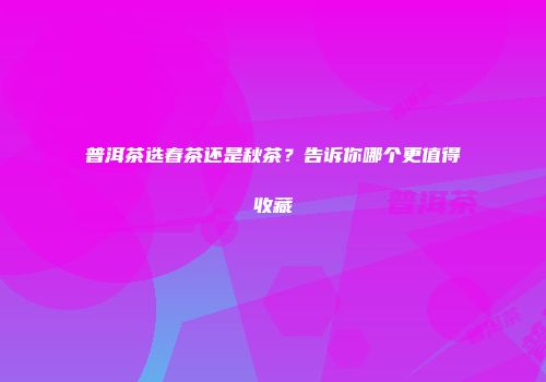 普洱茶选春茶还是秋茶？告诉你哪个更值得收藏